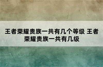 王者荣耀贵族一共有几个等级 王者荣耀贵族一共有几级